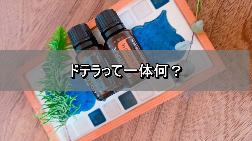 ドテラって一体何？
