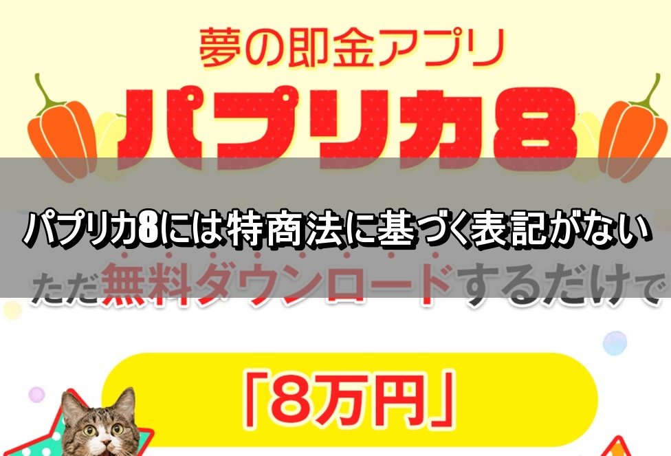 パプリカ8には特商法に基づく表記がない